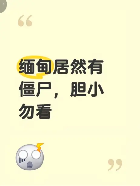 《缅甸僵尸出土事件》高清无删减完整版在线观看-揭秘缅北僵尸出土事件真相视频免费播放
