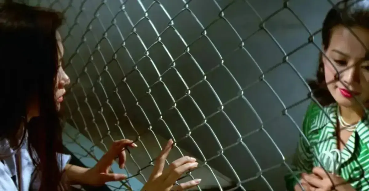 《芦苇地狱》1080P高清画质无广告播放-经典禁映《芦苇地狱》女子监狱实录-母女受难黑暗残酷终暴动复仇