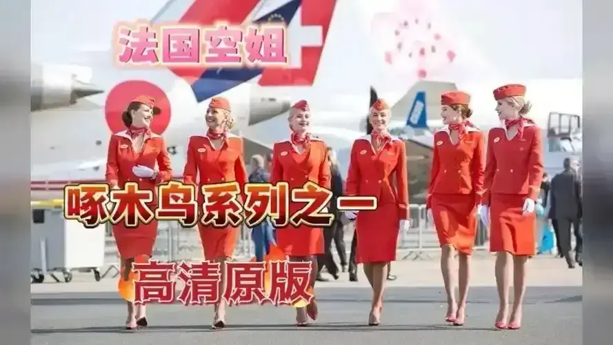 《法国空姐2019/不雅空乘》全片免费观看无广告-满天星经典电影1080P高清播放-《法国空姐》原片国语中字未删减版完整资源