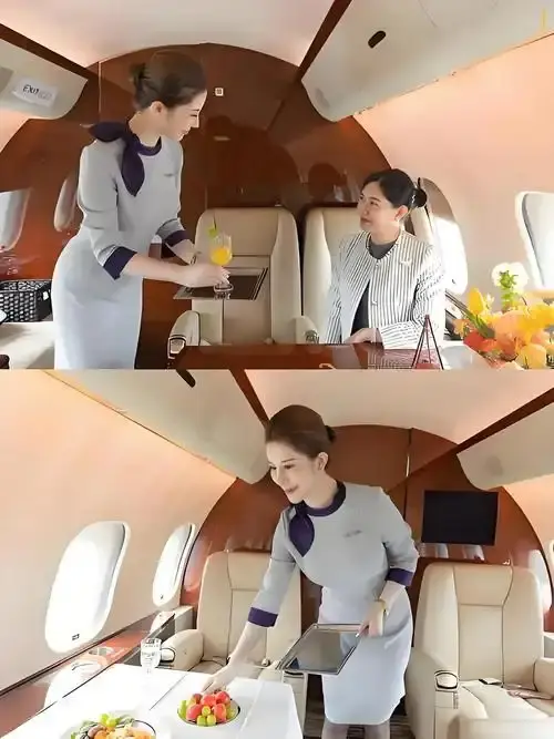 《私人航空/法国航空》未删减版-高清在线观看法国航空-完整版免费播放无弹窗