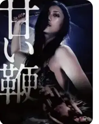 《甜蜜皮鞭》2026日本电影1080P高清在线观看-中文字幕未删减版免费播放-《甜蜜皮鞭》HD高清完整版全集-VS影视满天星系列